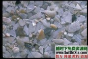图片素材大全系列七打包下载