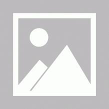 婚庆婚礼策划方案主持词集锦（经典，个性，创新，高端，时尚案例）大全