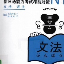 新日本语能力考试N1N2文法红宝书蓝宝书（详解+练习）