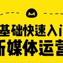 0基础快速入门新媒体运营视频教程10章