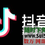 抖音教程 专业手机拍摄和舞蹈教程 实用小技术和专业技术培训都有！
