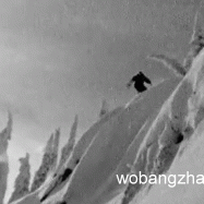 打包国内外最专业的自学单双板滑雪视频教程