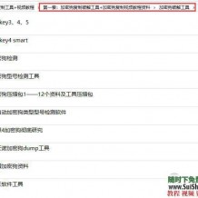 2套网络最全USB加密狗复制破解技术修改工具软件视频教程