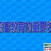 蒙特梭利早教胎教家庭教育资料全套打包下载