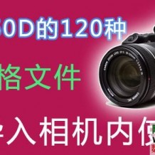 佳能60D单反相机120种相片风格文件下载（可导入相机，附教程）