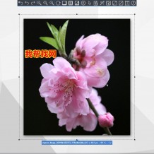 超方便截图神器！全屏区域网页视频截图工具带快捷浏览编辑截图的功能