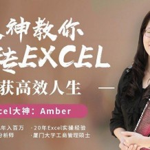 大神教你玩转Excel 收获高效人生