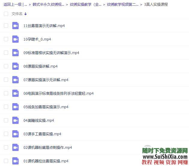 初学者纹绣教程视频 韩式半永久纹眉视频教程全套练习  【某宝重金购买系列】韩式半永久纹眉视频教程全套初学者纹绣教程视频练习培训学习 第11张