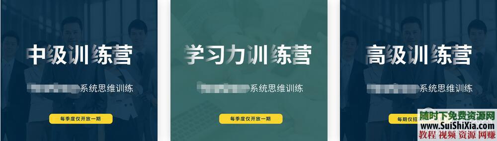 系统思维、框架思维、学习力、底层多元化思维逻辑 价值8500元的视频课程  总价值￥8500元的系统思维、框架思维、学习力、底层多元化思维逻辑视频课程合集 营销 第1张