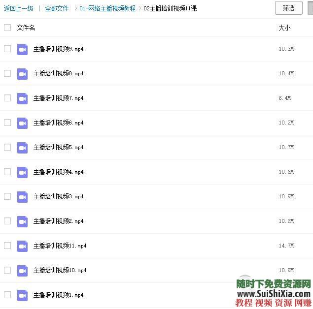 从入门到精通 网络网红+直播+主播培训教学视频教程课程技巧  网络网红直播主播培训教学视频教程课程技巧从入门到精通全套资料 第6张