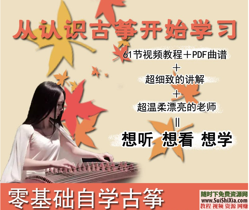 74G打包超全的袁莎古筝系列0基础入门到高级视频教程，带书带曲