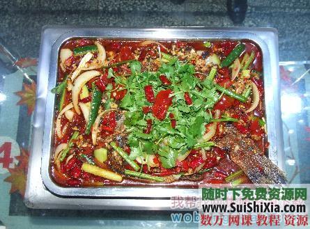 正宗诸葛烤鱼技术视频教程+全套配方资料下载 [编号369934] 电子书 第7张