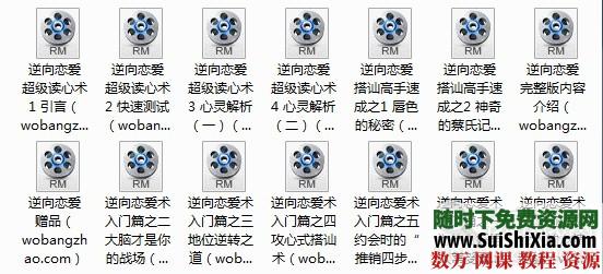 恋爱泡妞大宝典合集15集视频+7本电子书[编号869177] 电子书 第1张