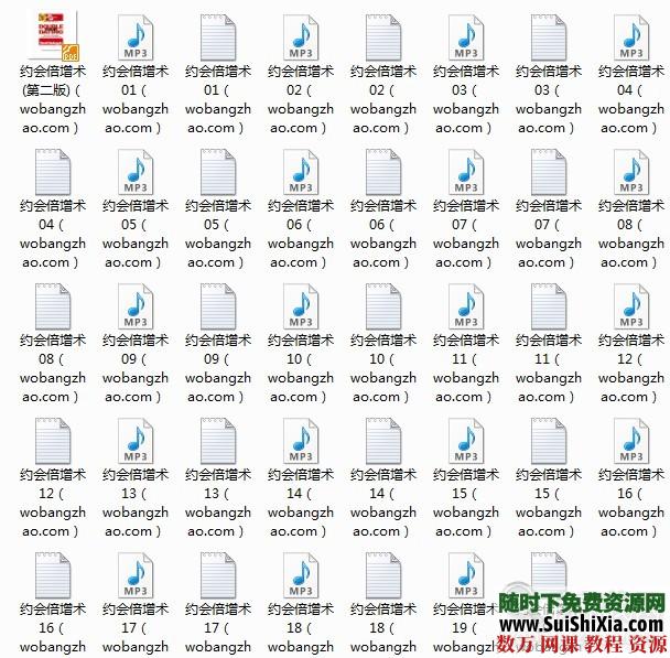 约会倍增术(第二版) mp3朗读快速版[编号735768] 第1张