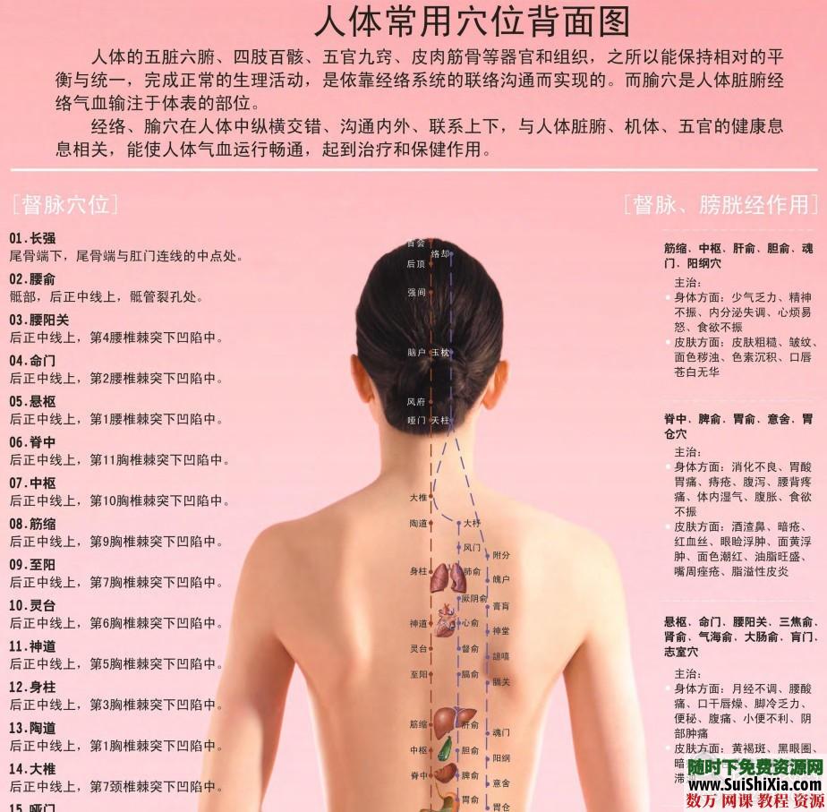 超高清版常用人体穴位经络图PDF 第2张