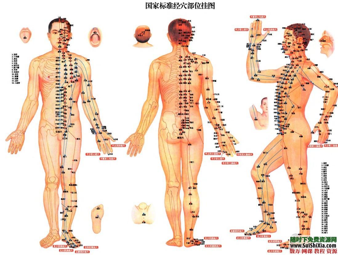 超高清版常用人体穴位经络图PDF 第4张