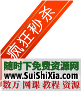 淘宝装修素材（图片、店招、图标、促销水印） 第1张