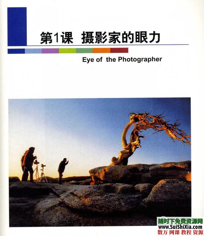单反摄影教程，数码摄影基础教程（构图、用光），摄影书籍打包 第3张