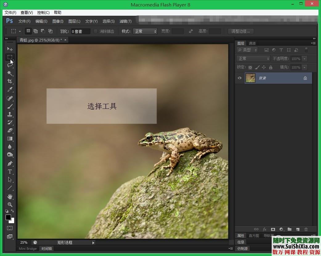 Photoshop CS6高清中文视频教程（完整解压无错版） 第7张