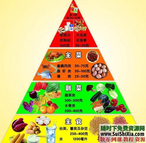 国家二级营养师王旭峰杰尔超赞的膳食营养学课 第2张