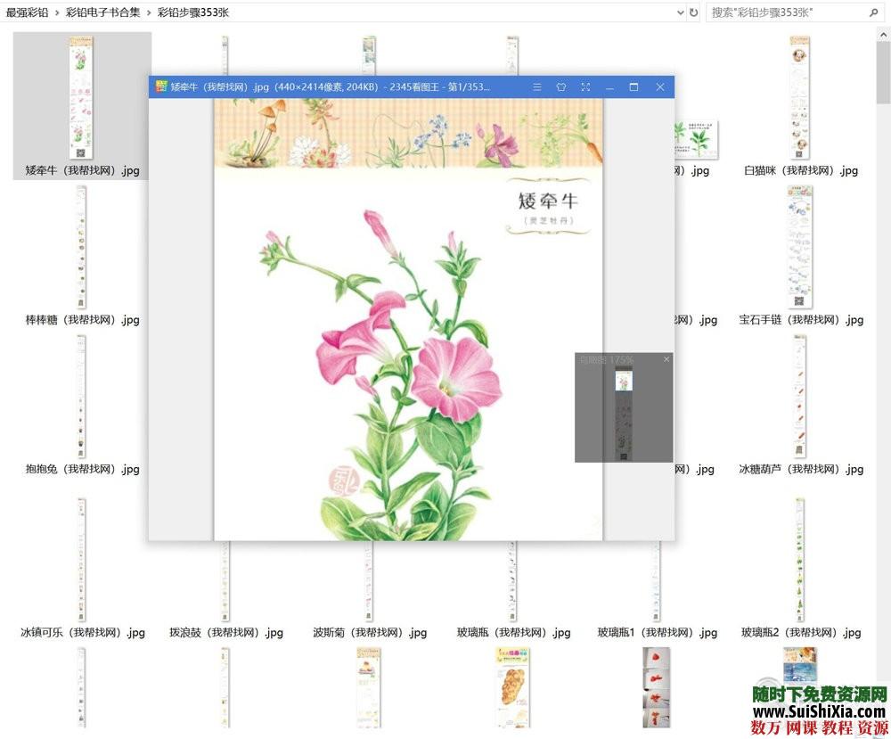 40G最强彩铅零基础入门到高手教学教程，包括大量电子书和绘画视频 电子书 第7张