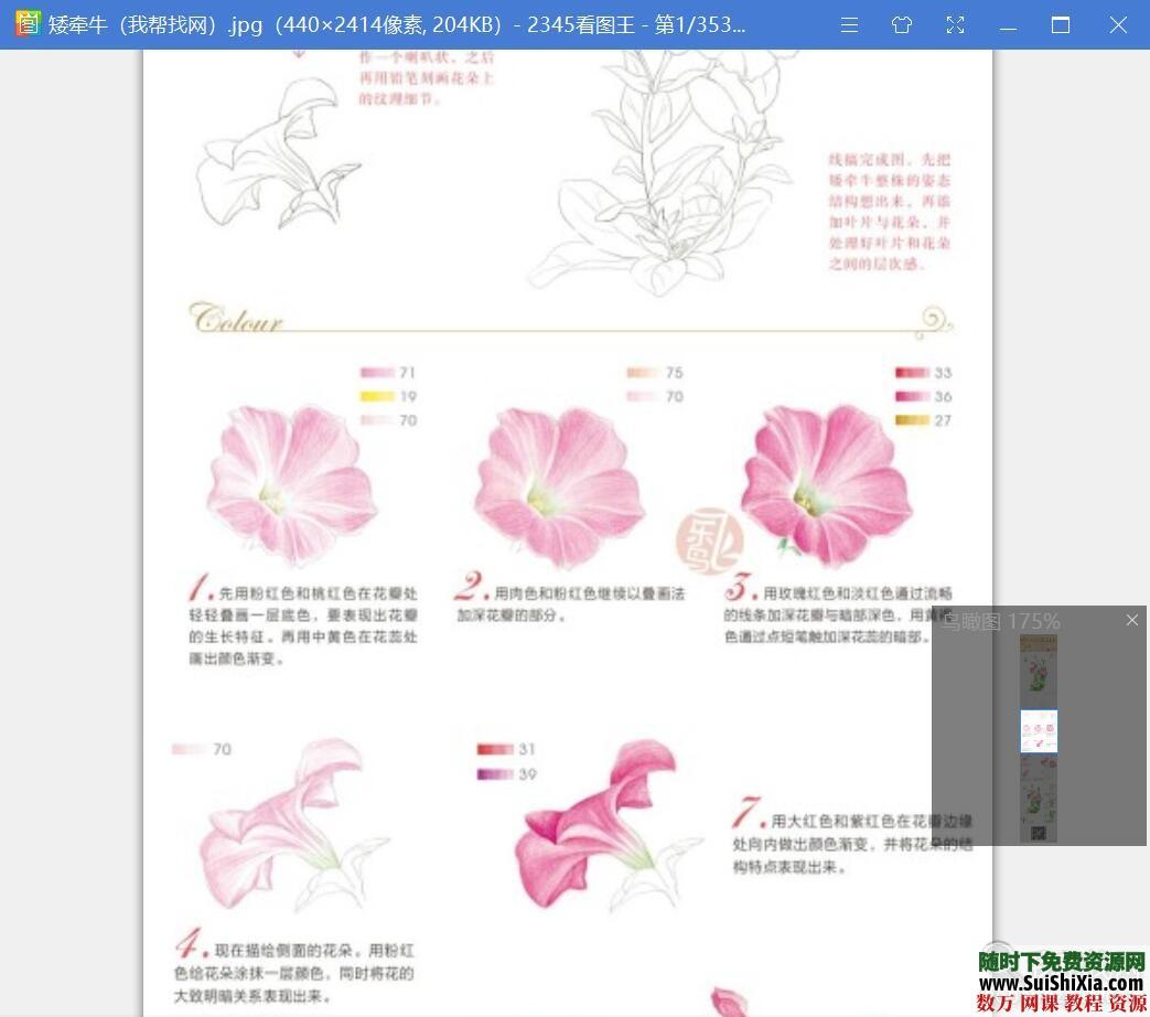 40G最强彩铅零基础入门到高手教学教程，包括大量电子书和绘画视频 电子书 第8张