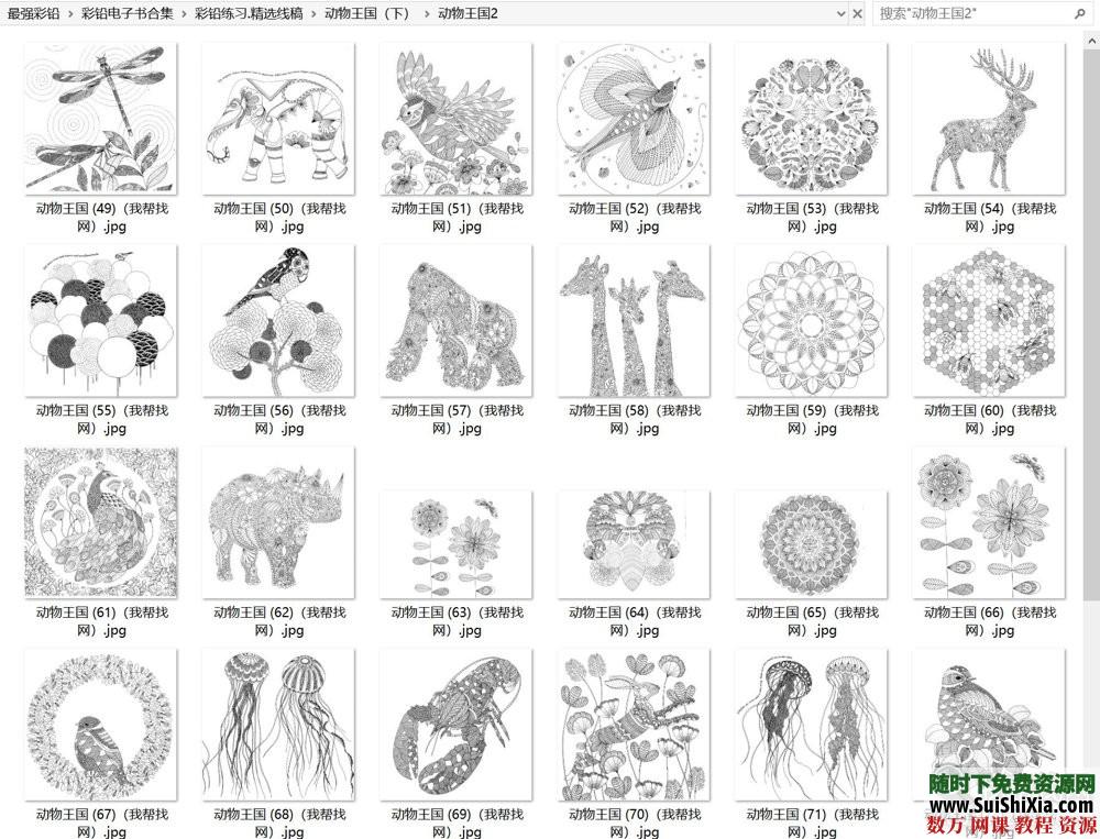 40G最强彩铅零基础入门到高手教学教程，包括大量电子书和绘画视频 电子书 第9张