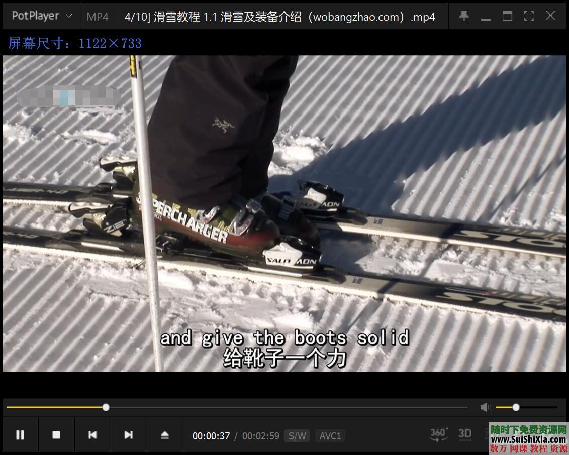 打包国内外最专业的自学单双板滑雪视频教程 第13张