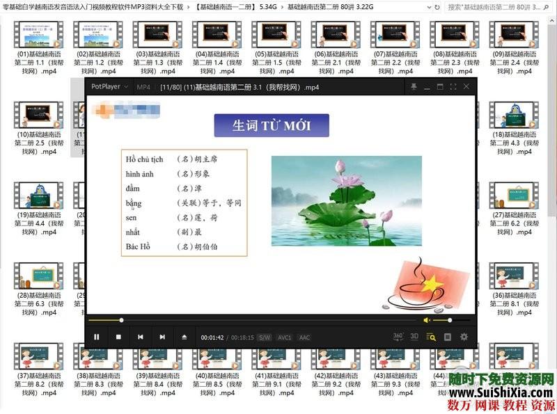 零基础自学越南语发音语法入门视频教程软件MP3资料大全下载 第4张