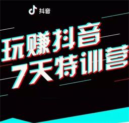 抖音引流增粉爆粉赚钱攻略，玩转抖音视频教程，营销训练IP打造